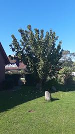 Haus Inselglück - Top-Hundeurlaub
