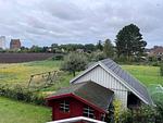 FeWo Heinz - Top-Hundeurlaub