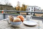 Balkon - Residenz Liegeplatz - Top-Hundeurlaub