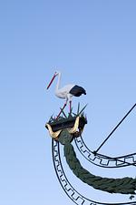 FeWo Storchennest Tettnang am Bodensee - Top-Hundeurlaub