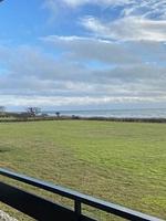 FeWo Schulze - Top-Hundeurlaub