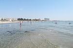 Strand - Fewo Reinhardt (187) - Top-Hundeurlaub
