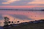 Strand - Fewo Reinhardt (187) - Top-Hundeurlaub