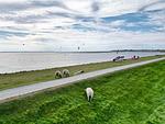 Deichhuus - Top-Hundeurlaub