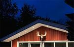 Hauptansicht des Ferienhauses Vara Hemma bei Nacht - Vara Hemma - Top-Hundeurlaub
