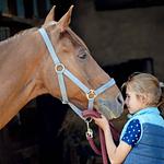 Seehaus Geesthof - Top-Hundeurlaub