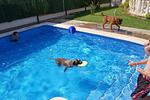 SpanienUrlaub mit Hund - Top-Hundeurlaub