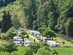 Camp Kyllburg - Top-Hundeurlaub