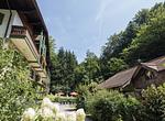 Hotel im Wald Hammerschmiede - Top-Hundeurlaub