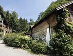 Hotel im Wald Hammerschmiede - Top-Hundeurlaub