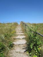 Strandhaus für 4 Pfoten im Landhausstil in Sint Maarten - Nordholland- - Top-Hundeurlaub