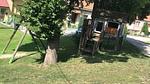 Ferienwohnung für 3 Personen (61 m²) in Prinzendorf an der Zaya - Top-Hundeurlaub