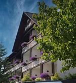 Landhotel Henkenhof Willingen - Top-Hundeurlaub