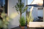 FeWo Finn EG Gartenblick - Ferienwohnung Finn EG - Top-Hundeurlaub