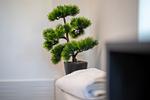 FeWo Finn EG Dekoratives Detail - Ferienwohnung Finn EG - Top-Hundeurlaub