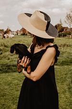 Stil 1827 - Top-Hundeurlaub