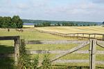 Pronstorfer Krug - Top-Hundeurlaub