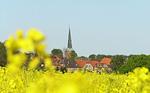 Pronstorfer Krug - Top-Hundeurlaub