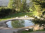 Natur-Hunde-Hotel Bergfried ein Hundeparadies - Top-Hundeurlaub