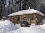Natur-Hunde-Hotel Bergfried ein Hundeparadies - Top-Hundeurlaub