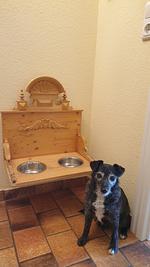 Ferienhaus Blinkfuer104 - Top-Hundeurlaub