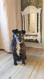 Strand Ferienhaus Fischerkate - Top-Hundeurlaub