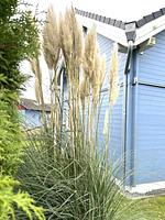 9160 Seerose 9 Süssau - Top-Hundeurlaub