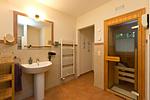 Tap In-12 - Tap In - Top-Hundeurlaub