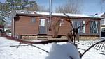Tiny House "Wolke 7"-22 - Tiny House "Wolke 7" - Top-Hundeurlaub