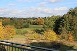 Villa Royal Whg. 4-19 - Villa Royal Whg. 4 - Top-Hundeurlaub