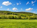 Landschaft hinter dem Ferienhaus Kammblick - Ferienhaus Kammblick - Top-Hundeurlaub