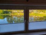 Landschaft - Schwanensee Ferienhaus - Top-Hundeurlaub