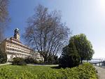 Landschaft - Apartment Bad Schachen - Top-Hundeurlaub