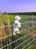 Friedrichskoog Ferienhaus Mia - Top-Hundeurlaub