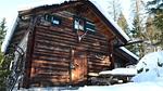 Ferienhaus für 5 Personen (76 m²) in Bucheben - Top-Hundeurlaub