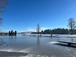 Landschaft - Ferienappartement Greta - Top-Hundeurlaub