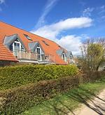 Hauptansicht - Nixe - Top-Hundeurlaub