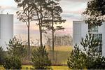 Gartenblick - Der Kranich - Top-Hundeurlaub