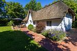 Hauptansicht - Ferienhaus Bauernkate Basstölpel - Top-Hundeurlaub