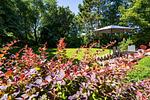 Gartenblick - Ferienhaus Bauernkate Basstölpel - Top-Hundeurlaub