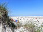 Badestrand auf Amrum - Ferienwohnung *Inselnest am Meer* - Top-Hundeurlaub