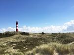 Amrumer Leuchtturm in den Inseldünen - Ferienwohnung *Inselnest am Meer* - Top-Hundeurlaub