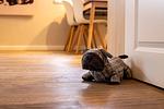 Wohnzimmer - Appartement Altes Pastorat 6 - Top-Hundeurlaub