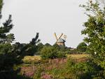 Landschaft - Ferienwohnung *Aawerkant* - Top-Hundeurlaub