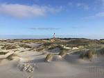 Landschaft - Ferienwohnung *Aawerkant* - Top-Hundeurlaub
