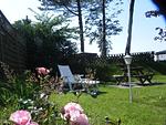 Garten mit Rosen am ferienhaus Sanskiin in Süddorf auf Amrum - Ferienwohnung *Goodshenk* - Top-Hundeurlaub