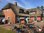 Terrasse mit Strandkörben am Friesenhaus Sanskiin in Süddorf auf Amrum - Ferienwohnung *Eerdglüper* - Top-Hundeurlaub