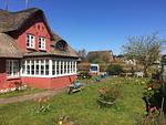 Friesenhaus Sanskiin mit Garten in Süddorf auf Amrum - Ferienwohnung *Eerdglüper* - Top-Hundeurlaub