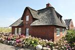Hauptansicht - Ferienhaus Diekkieker - Top-Hundeurlaub