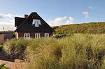 Hauptansicht - Ferienhaus Diekkieker - Top-Hundeurlaub